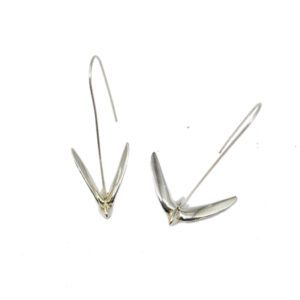 סיסים  - עגילי כסף, מבריק